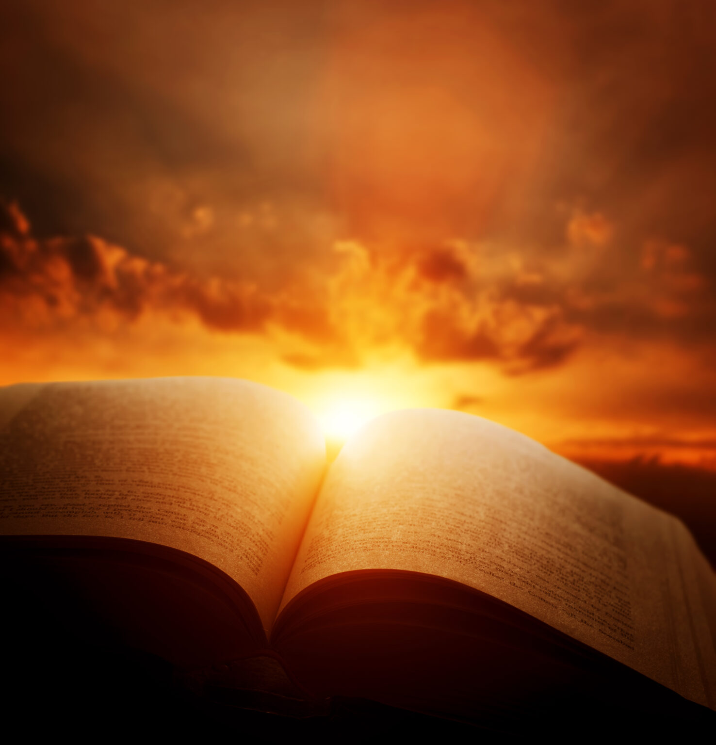 why-were-some-books-left-out-of-the-bible